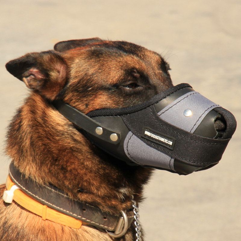 How to measure your Dog for good fit muzzle.