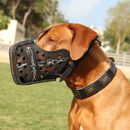 Best Agitation Dog Muzzle UK