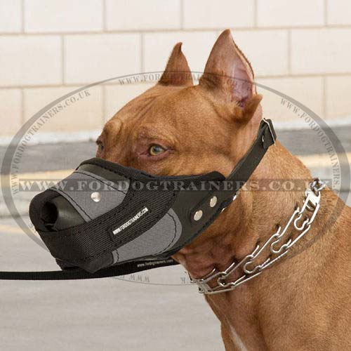 Plastic Basket Dog Muzzle UK