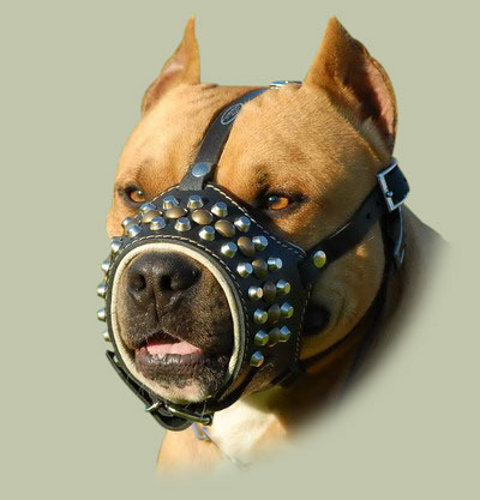 leather dog muzzle with studs