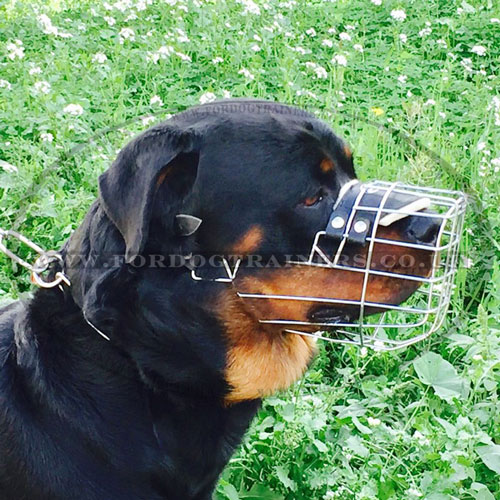 Rottweiler Dog Muzzle Basket