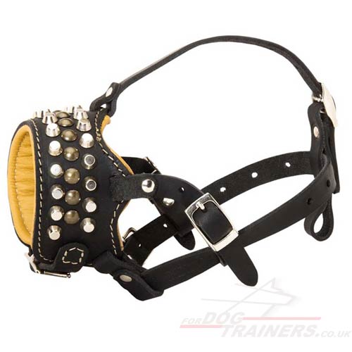 Leather Dog Muzzle for Pitbull