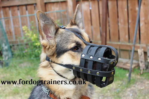 German Shepherd Muzzle UK