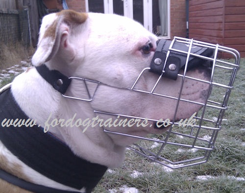 Wire Dog Muzzle for Short Snout Dog