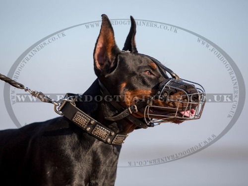 Doberman Basket Muzzle