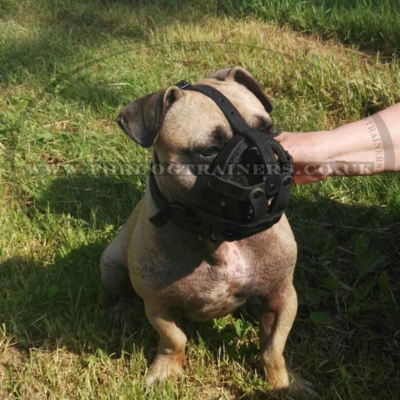 Light Leather Dog Muzzle UK Bestseller for All Dog Breeds