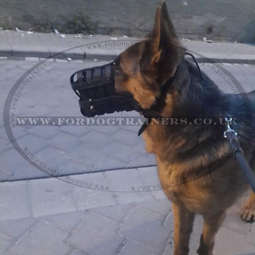 German Shepherd Muzzle Size