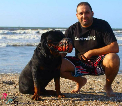 designer dog muzzle for Rottweiler