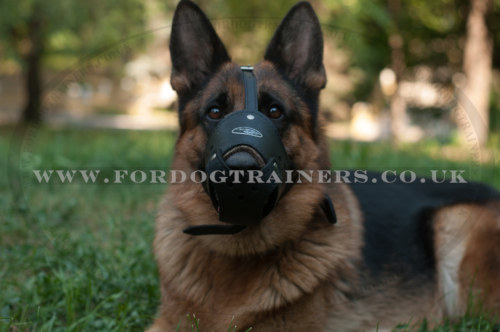 Ventilated Dog Muzzle for German Shepherd