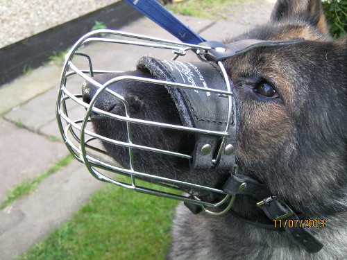 Padded Dog Muzzle