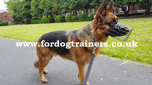 German Shepherd Muzzle UK