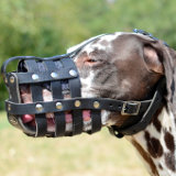 leather dog muzzle