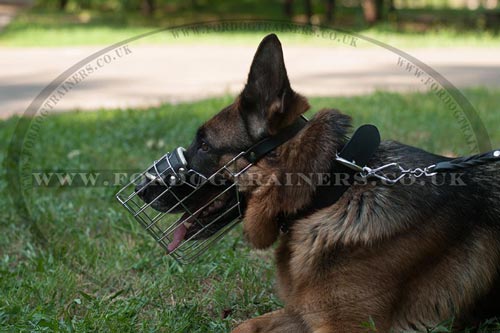 Wire Dog Muzzle that Allows Drinking