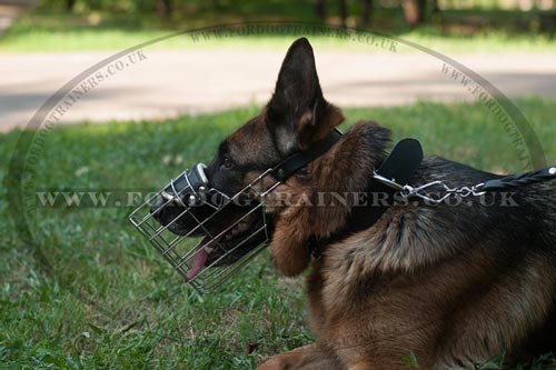 dog muzzle that allows drinking