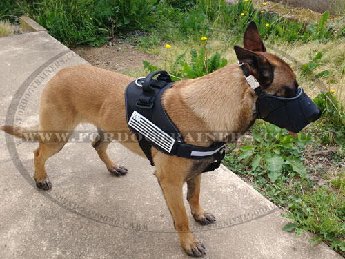 Black Plastic Dog Muzzle for Belgian Malinois