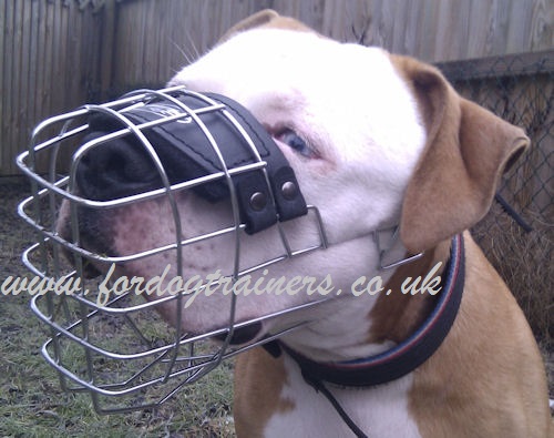 Wire Dog Muzzle for Short Snout Dog
