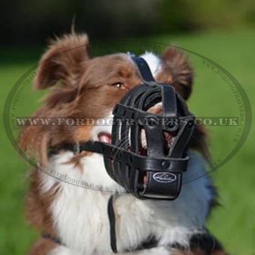 light leather dog muzzle padded