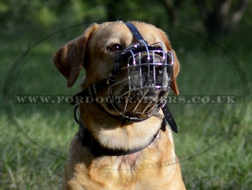 Dog Basket Muzzle for Labrador Retiriever
