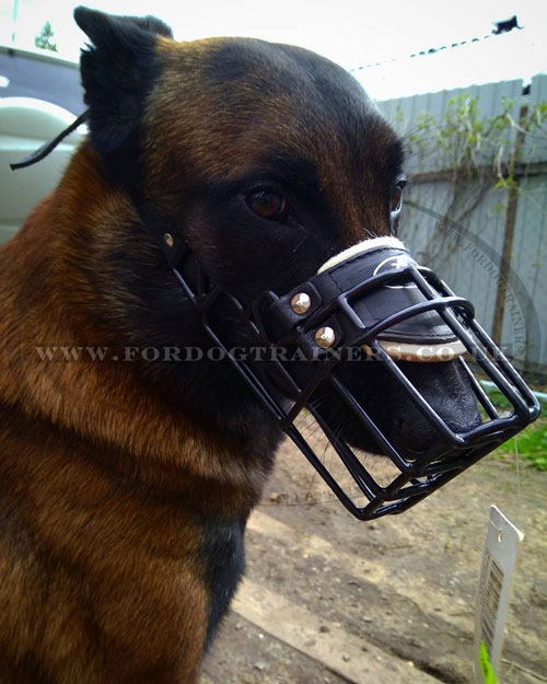 Buy Belgian Malinois Muzzles for Big Dogs