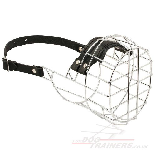 Buy Boxer Dog Muzzle Basket Type