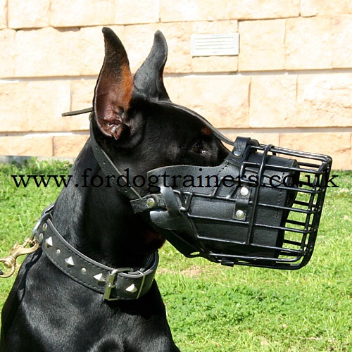 Padded Dog Muzzle K9