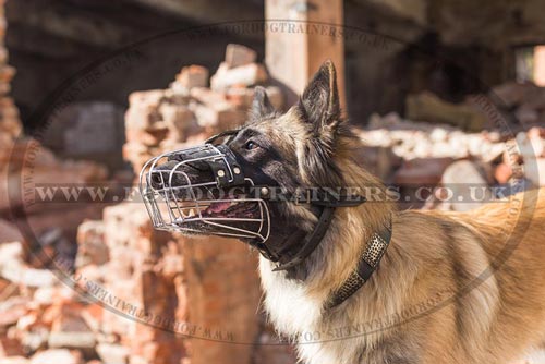 Basket Dog Muzzle for Long Nosed Dog UK