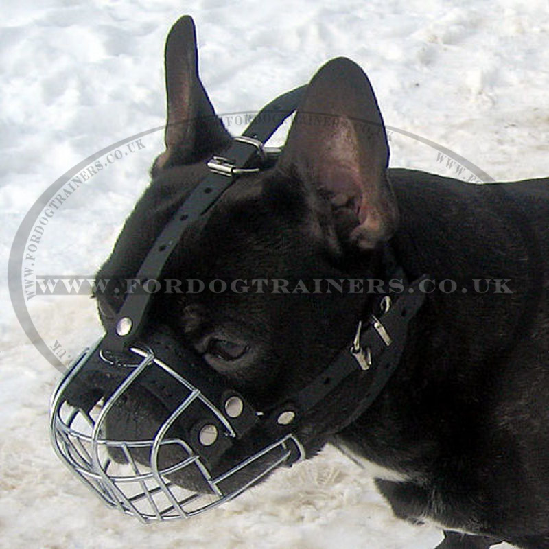 basket muzzle for french bulldog