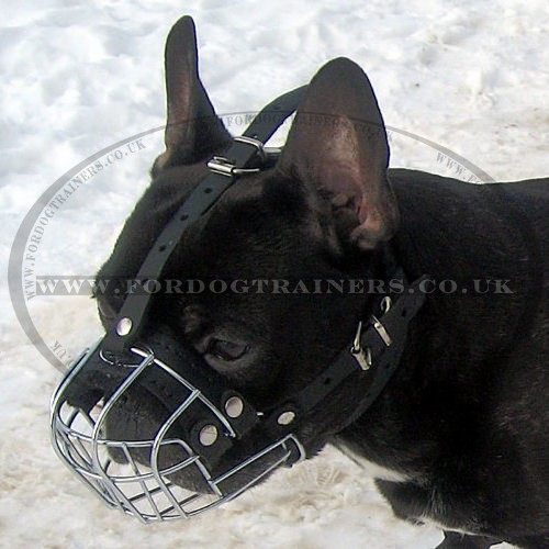 The Best French Bulldog Muzzle UK