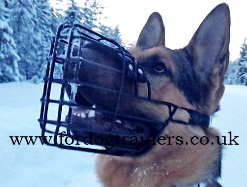 German Shepherd Basket Muzzle