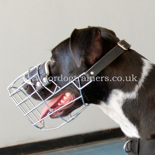 Buy Pitbull Muzzles UK