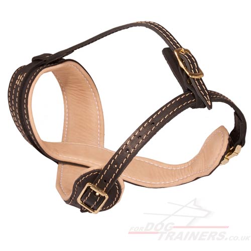 Padded Leather Dog Muzzle for German Shepherd