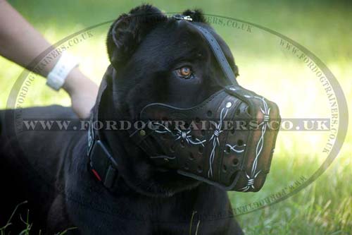 Cane Corso Training Dog Muzzle