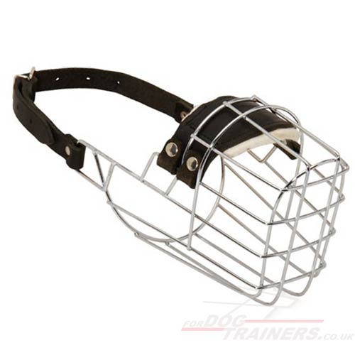 dog muzzle uk