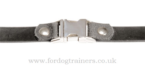 leather dog muzzle