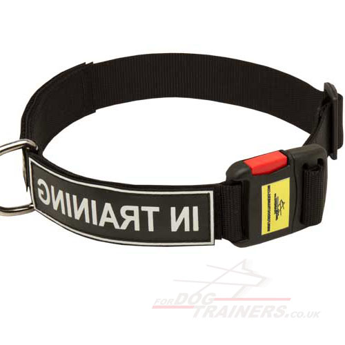 dog training collar for sale