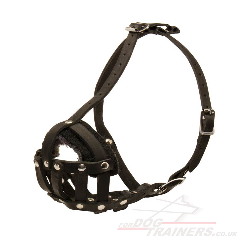 Light Leather Dog Muzzle UK Bestseller for All Dog Breeds £28.98