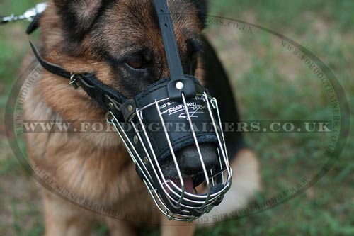 Humane Muzzles for Dogs that eat rocks