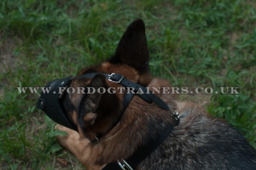 The Best German Shepherd Dog Muzzle That Won't Come Off