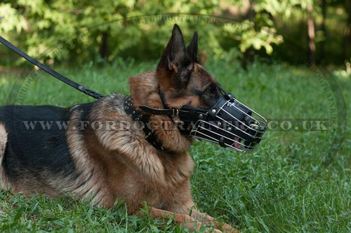 German Shepherd Basket Muzzle