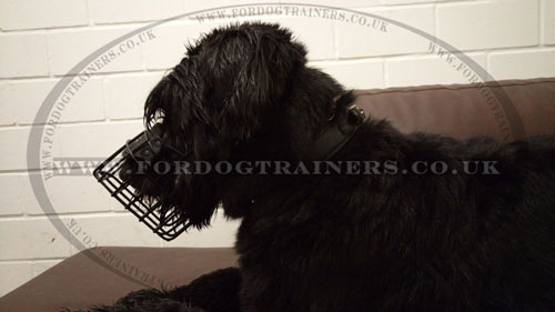 Basket Dog Muzzle for Giant Schnauzer