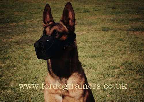 Heavy Duty Muzzle for Dogs