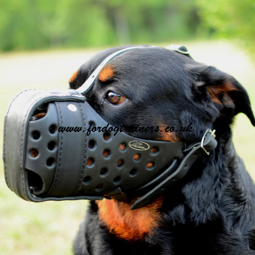 K9 Dogs Muzzle for Rottweiler