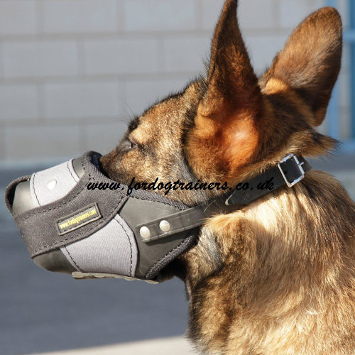 German Shepherd Muzzle