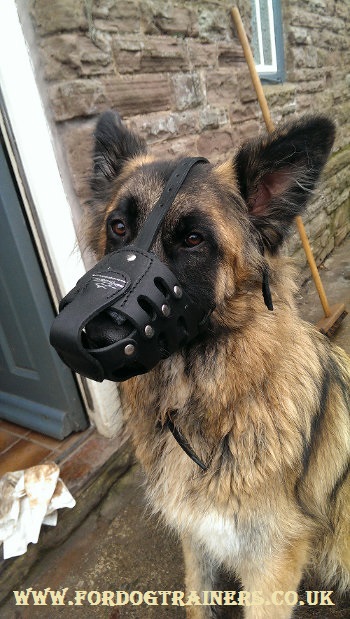 German Shepherd Dog Muzzle for Long Nosed Dog