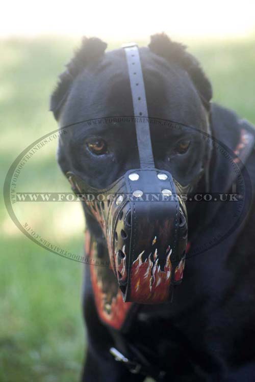 leather dog muzzle