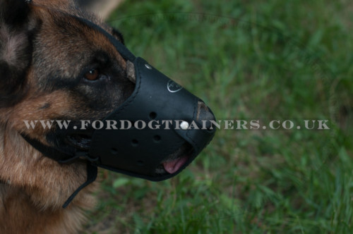 Leather Dog Muzzle for German Shepherd
