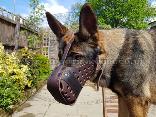 Leather Dog
Muzzle for German Shepherd Muzzle Size