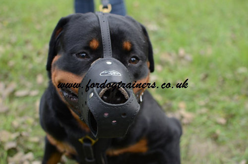 Leather Dog Muzzle for Rottweiler