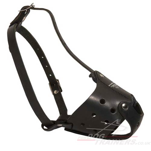Leather Dog Muzzle that Won't Come Off