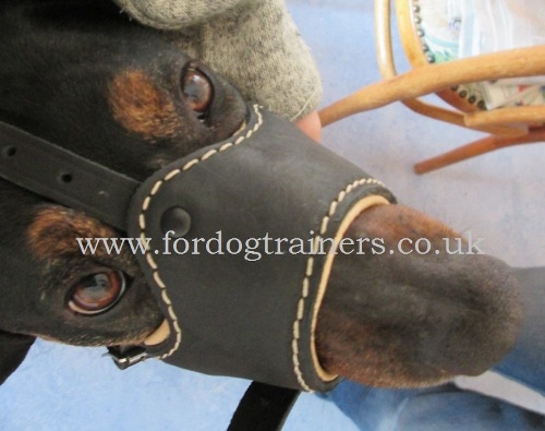 Padded dog muzzle that dog can’t remove